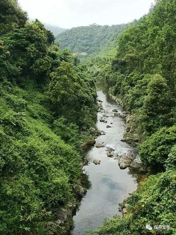 全国人有百分之几十都在喝饮料？游戏画面