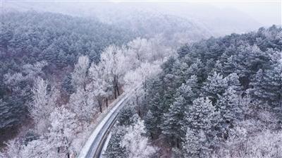 全国人有百分之几十都在喝饮料？游戏画面
